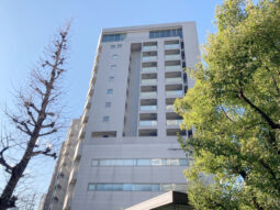 【店舗・事務所紹介】3面角地!青山貸事務所 表参道!視認性◎