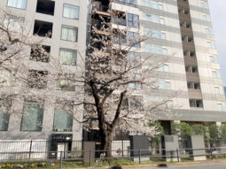 【店舗・事務所紹介】龍土町美術館通り沿い！ 軽飲食店にオススメです