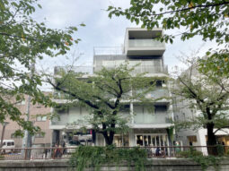【店舗紹介】目黒川沿い!地下1階 希少!飲食店の居抜き!